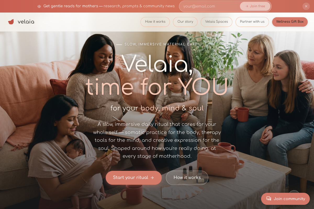 Velaia website homepage