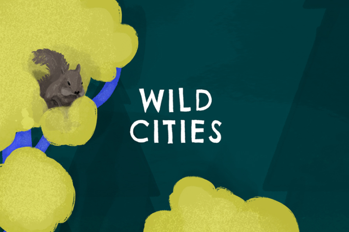 Wild Cities AR